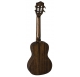 Kai KCI-100G-BK concert ukulele