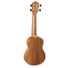 Baton Rouge UR11-S Cactus ukulele