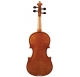 Hidersine Vivente Plus Violin-Set 4/4