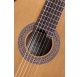 Duke Basis C 63/50 classical guitar, 7/8