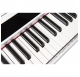 ORLA PF100 WH - Digital Piano - White