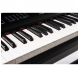 ORLA PF300 BK - Digital Piano - Black