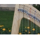 Shantel ashwood 34 String Celtic Harp