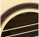 Duke GA-PF-12-Trio VT electroacoustic guitar