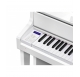 Casio CELVIANO GRAND HYBRID GP 310 digital piano - more colors