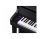 Casio CELVIANO GRAND HYBRID GP 310 digital piano - more colors