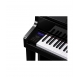 Casio CELVIANO GRAND HYBRID GP 510 BP digital piano