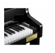 Casio CELVIANO GRAND HYBRID GP 510 BP digital piano