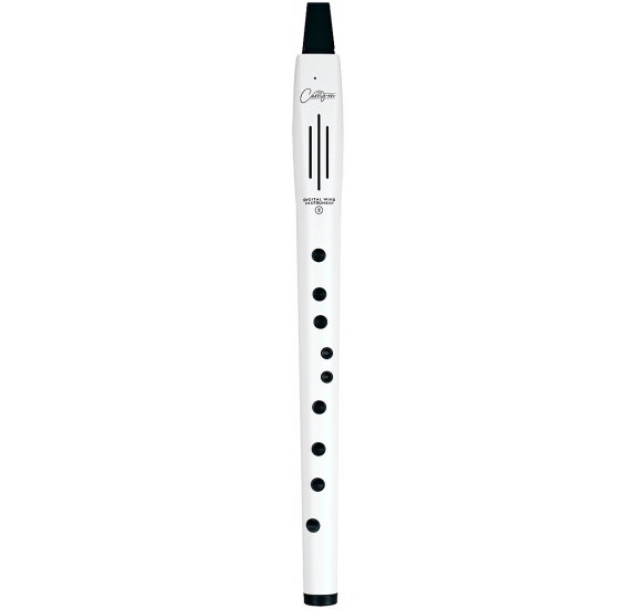 Carry-On V2 digital wind instrument - white