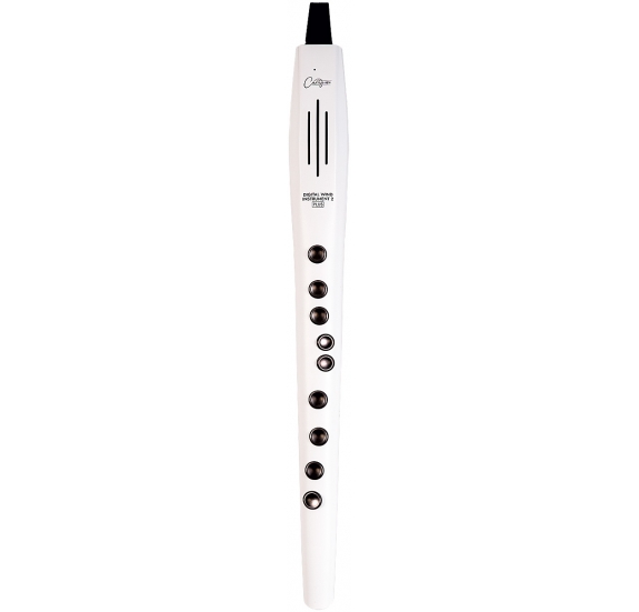 Carry-On V2 Plus digital wind instrument - white