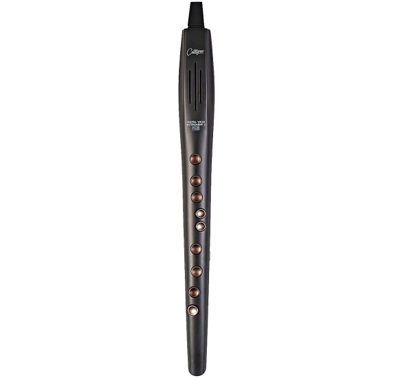 Carry-On V2 Plus digital wind instrument - black