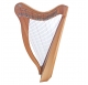 Eni'sTone 27 String Celtic Harp