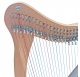 Eni'sTone 27 String Celtic Harp