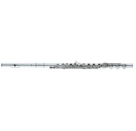 ALTUS ASA9RBEO-S Flute, open-hole, E-mechanism, B Foot, S-Cut