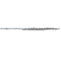 ALTUS ASA9RBEO-S Flute, open-hole, E-mechanism, B Foot, S-Cut