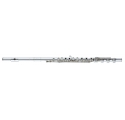 ALTUS ASA9RB-S Flute, open-hole, Inline, B foot, S-Cut