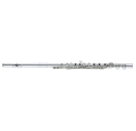 ALTUS ASPSIIR-S Flute, open-hole, Inline, S-Cut