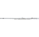 ALTUS AS917SE Alto Flute, E-mechanism, straight headjoint