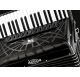 Delicia Carmen 96 PREMIUM accordion, 4 chorus