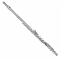 Garry Paul GP- FL 6000 flute