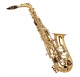 Garry Paul ZAS1000  altszaxofon
