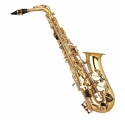 Garry Paul GP-AS-1000  alt szaxofon