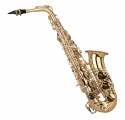 Garry Paul GP-AS3000 alto saxophone