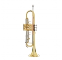 Garry Paul GP-TR 2000 Bb Trumpet