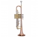 Garry Paul ZTR4000 Bb Trombita