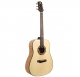 Randon AS-D+Pro acoustic guitar