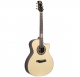 Randon AS-GC+Pro acoustic guitar