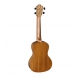 Baton Rouge UR11-C smile-bws concert ukulele