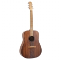 Randon RGI-10VT acoustic guitar