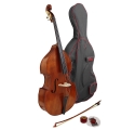 Hidersine Vivente 3183B-G-3/4 double bass outfit