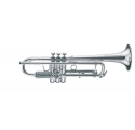 Vincent Bach VBS1S trombita