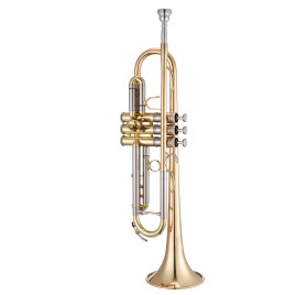 XO 1602RLR3 trombita
