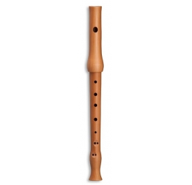 Mollenhauer 8100 Picco flute