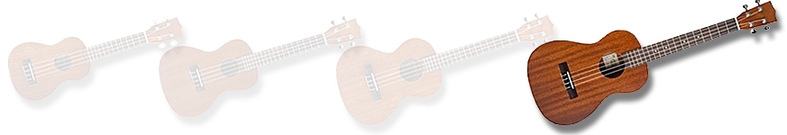 Baritone & Bass ukulele