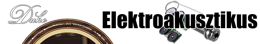 Electroacoustic