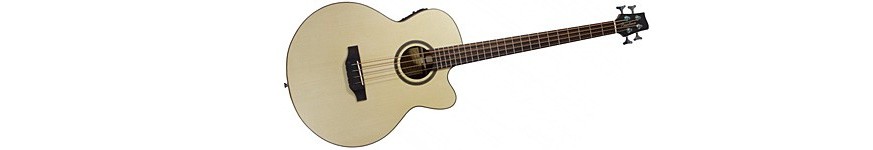 Acoustic Bass guitar